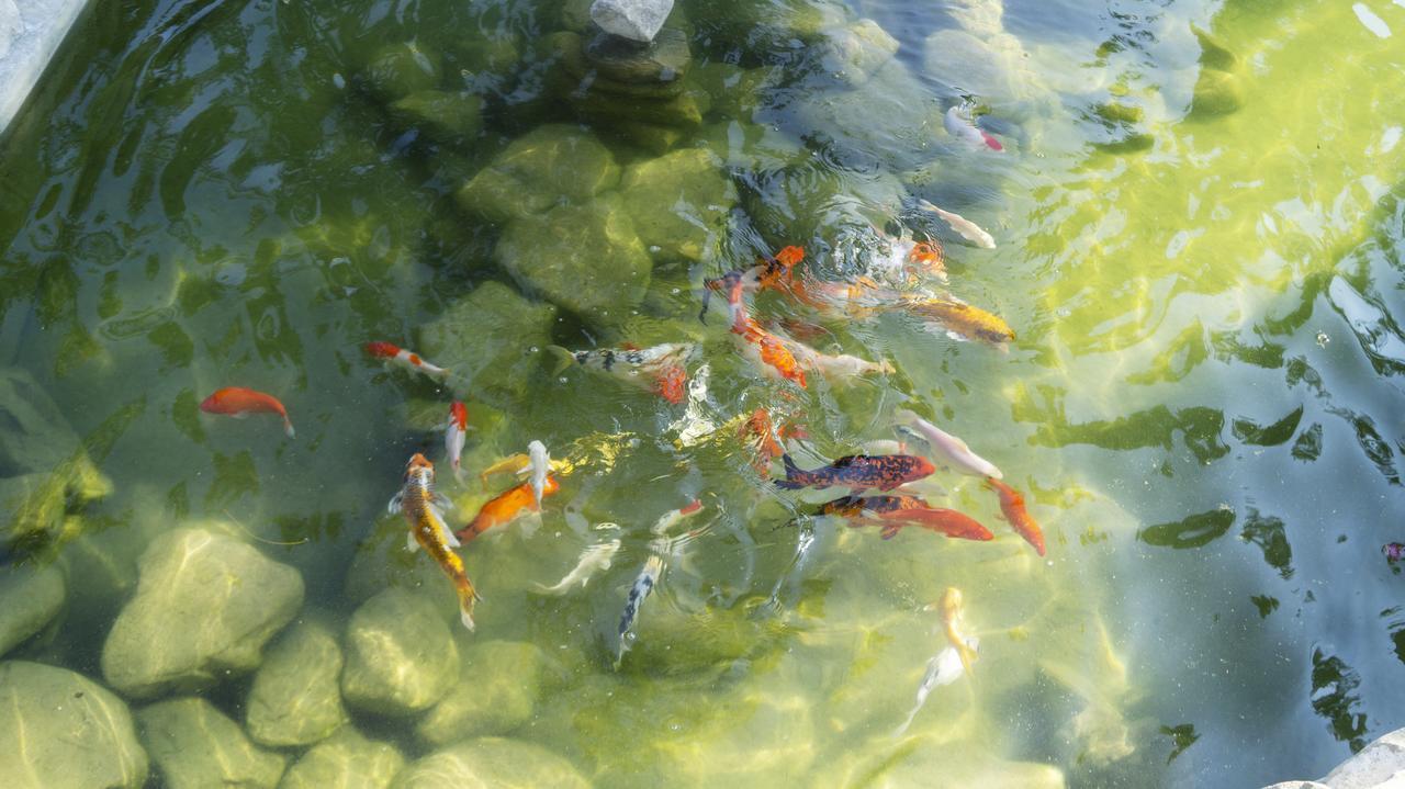 Pisces Garden B&B Чеченг Екстер'єр фото