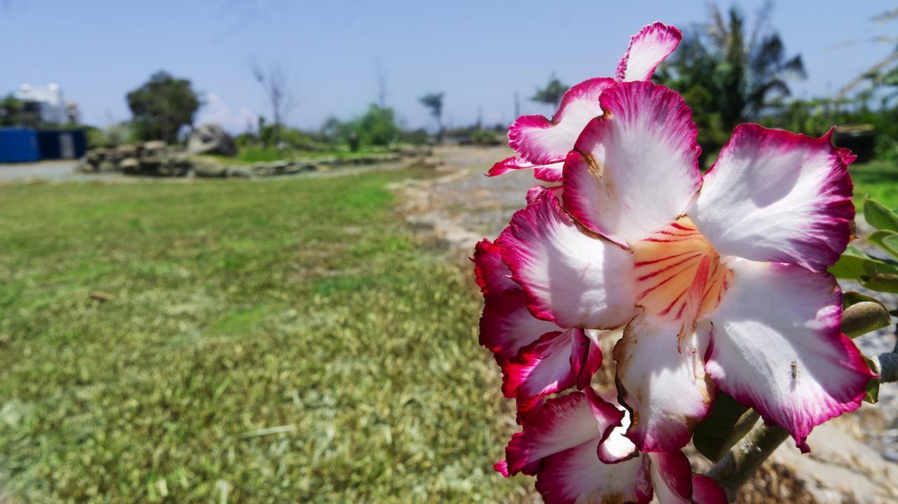 Pisces Garden B&B Чеченг Екстер'єр фото